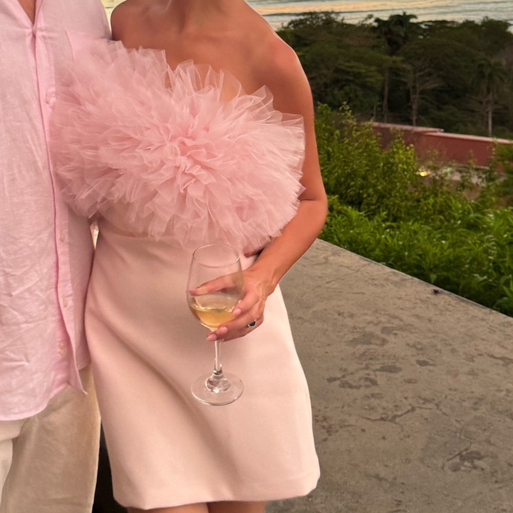Zara pink strapless tulle Dress